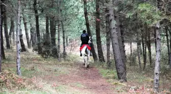 Kocaeli'de Mesire Alanlarını Atlı Güvenlik Birimi Koruyacak