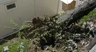 Karabük'te Fırtına Çatı Uçurdu, Ağaç Devirdi