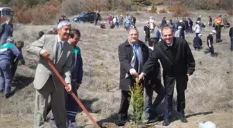 Polis Hatıra Ormanı'nda 250 Sedir Fidanı Toprakla Buluşturuldu