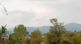 İznik Gölü'nde Tehlike Çanları