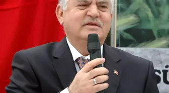 Süneye Karşı Keklik Çözümü