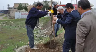 Çolak, İşçilerle Birlikte Fidan Dikti