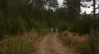 Kazdağları, Polen Alerjisinin Nedeniymiş