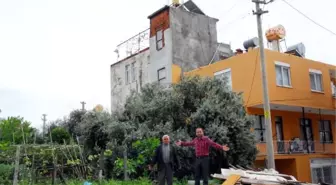 Mülk Sahibi Bahçesinden Geçen Yolu Kapattı, Komşuları Mahsur Kaldı