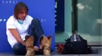 'Örümcek Adam' Doha'da Rekor Kırdı