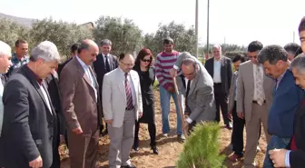 Sarıçalı Köyünde Fidan Dikim Etkinliği Düzenlendi