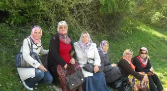 AK Parti Karasu İlçe Kadın Kolları Üye Çalışması Yaptı