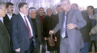 Çelebi İncelemelerde Bulundu