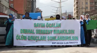 Yüksekova BDP İlçe Örgütünden Yürüyüş ve Basın Açıklaması