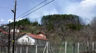 Mengen'de Orman Yangını