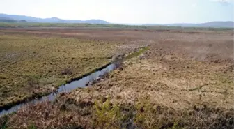 Tokat'taki Kuş Cenneti Eski Görünümüne Kavuşuyor