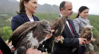 Dört Şahin Özgürlüğe Kanat Çırptı