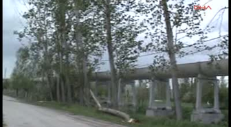 Kepsut'ta Çatılar Uçtu, Ağaçlar Devrildi
