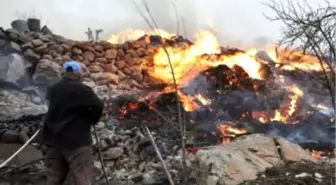 Bolu'da Çıkan Yangın Kontrol Altına Alınamıyor