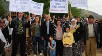 Çiçek Üreticisine Şimdi de 'ihracat' Dedi