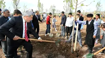 Hereke'de Eski Maden Ocağı Alanı Ağaçlandırıldı