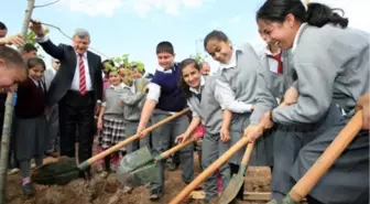 Maden Ocağıydı, Şimdi Orman Olacak