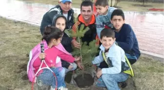 GHSİM Şehir Stadyumuna 100 Adet Fidan Dikti