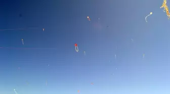 Uçurtmalar Datça Semalarını Renklendirdi