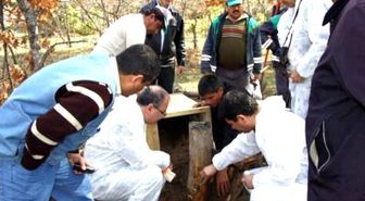 Eskişehir'de 25 Karınca Yuvası Nakledilecek