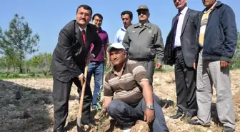 Erdemli'de Kurum Bahçeleri Yeşeriyor