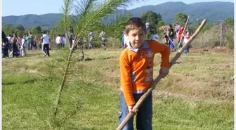 Sakarya Yetiştirme Yurdundan Hendek'te Hatıra Ormanı