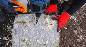 Kastamonu'da Mantar Ormanı Projesi Başladı