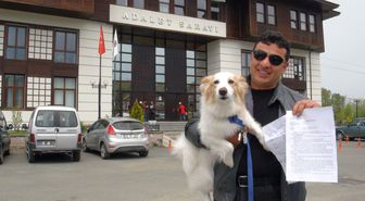 Rize'de Köpek Mahkemelik Oldu