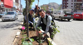Oltu Belediyesi Bin Fidan Bin 500 Gül Dikti