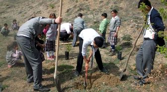 Öğrenciler Çam Ağacı Dikti