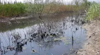 Dere Taştı, Meyve Bahçelerini Atık Sular Kapladı