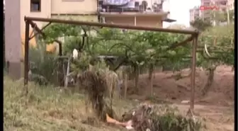 Yağmur Yağdı, Evi Tavana Kadar Moloz Doldu