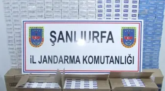 Şanlıurfa'da 421 Kök Kenevir ile 9 Bin 740 Paket Kaçak Sigara Ele Geçirildi