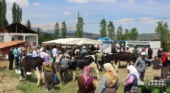 Burdur Dsyb'den Kibrit'e 120 Baş Düve