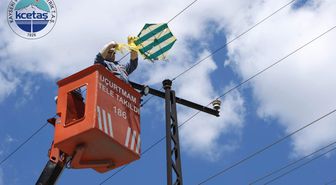 Elektrik Şirketi'nden 'Alo 186 Uçurtmam Tele Takıldı' Hizmeti