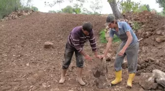 Hisarcık'ta Sulama Suyu Kazısında Kafatası ve Kemik Parçaları Bulundu