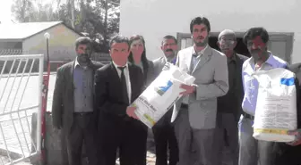 Hınıs'ta Silajlık Mısır Yetiştiriciliğini Geliştirme Projesi