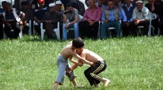 8. Zeytin ve Zeytinyağı Festivali Renkli Geçti