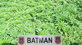 Batman'da Kenevir Operasyonu