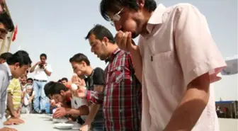 Nizip'te Bahar Şenlikleri