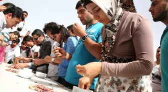 Nizipte Bahar Şenlikleri Çekişmeli Yarışmalara Sahne Oldu