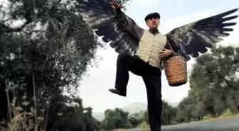 'Süper İncir'den Sonra 'Süper İncir 1921'de Rekora Koşuyor