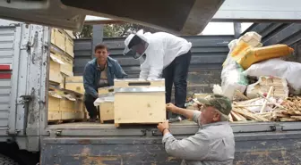 Bozcaada'da Organik Bal Üretilecek