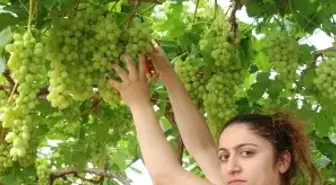 Bu Beldede İşsizlik Yok