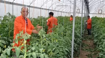 Mahkumlar Marka Yarattı: Toprakkale Cik