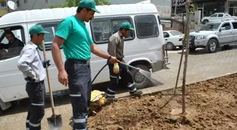 Şemdinli Belediyesi'nden Yeşillendirme Çalışması