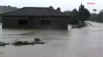 Edirne'de Dereler Taştı, Evleri Su Bastı