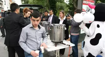 Dünya Süt Günü'nde Ücretsiz Soğuk ve Sıcak Süt Dağıtıldı