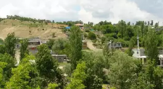 Gölbaşı'nda Kuduz Karantinası