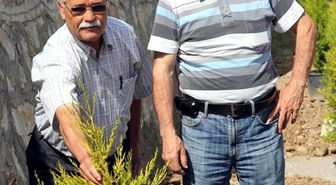 Burhaniye'de Yeşillendirme Seferberliği